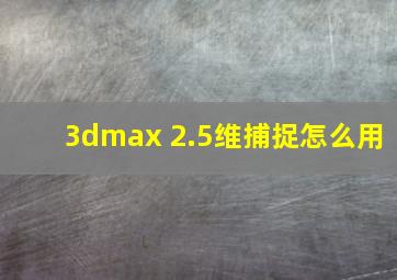 3dmax 2.5维捕捉怎么用